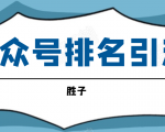 胜子老师微信公众号排名引流,微信10亿月活用户引流方法-第一资源库