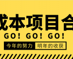 低成本零成本项目合集:赚钱快的慢的、暴利的,线上线下的,价值万元资料-第一资源库