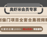 暴利偏门项目全套合集视频教程:你要的日赚1000+月入几万+项目都有-第一资源库