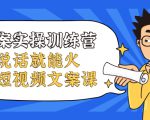 文案实操训练营,只说话就能火的短视频文案课-第一资源库