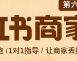 贾真-小红书商家营第6期商家版,21天带货陪跑课,让商家丢掉付流量-第一资源库