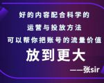 张sir账号流量增长课,告别海王流量,让你的流量更精准-第一资源库