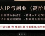 一舟一课个人IP与副业(高阶版),短视频和直播新手起号-普通人如何做好个人IP-第一资源库