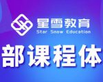 星雪教育淘系高级班,更全的运营提升方案,零基础由浅入深,店铺最新玩法-第一资源库