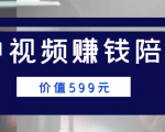中视频赚钱陪跑,卖中视频账户赚钱收益陪跑项目(价值599元)-第一资源库