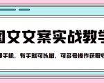 抖音图文文案实战教学,一部手机,有手就可以做,可多号操作获取收益-第一资源库