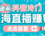 最新抖音冷门简单的蓝海直播赚钱玩法,流量大知道的人少,可做到全无人直播-第一资源库