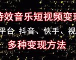 黄岛主《粒子特效音乐短视频变现项目》主攻平台抖音、快手、视频号多种变现方法-第一资源库