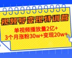 21天视频号变现特训营:单视频播放量2亿+3个月涨粉30w+变现20w+(第14期)-第一资源库