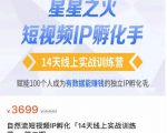 瑶瑶·自然流短视频IP孵化第二期,14天线上实战训练营,赋能100个人成为有数据能赚钱的独立IP孵化手-第一资源库