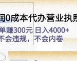 高利润0成本代办营业执照项目:一单赚300元日入4000+不会违规,不会内卷-第一资源库
