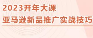 2023亚马逊新品推广实战技巧,线下百万美金课程的精简版,简单粗暴可复制,实操性强的推广手段-第一资源库