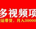 多多带货视频快速50爆款拿带货资格,搬运带货,月入30000【全套脚本+详细玩法】-第一资源库
