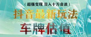 抖音最新无人直播变现直播车牌估值玩法项目,轻松日赚几百+【详细玩法教程】-第一资源库