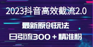 日引300+创业粉,独家抖音高效截流2.0玩法(价值1280)-第一资源库