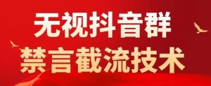 外面卖1500抖音粉丝群无视禁言截流技术,抖音黑科技,直接引流,0封号-第一资源库