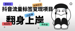 抖音流量标签变现项目,抖音创业粉轻松转化,单价高收益简单-第一资源库