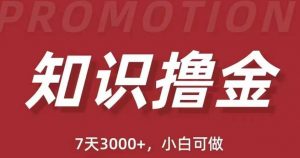 抖音知识撸金项目:简单粗暴日入1000+执行力强当天见收益(教程+资料)-第一资源库
