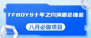 最新蓝海项目,靠最近非常火的TFBOYS十年之约演唱会流量掘金,八月必做的项目【揭秘】-第一资源库