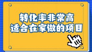 小红书虚拟电商项目:从小白到精英(视频课程+交付手册)-第一资源库