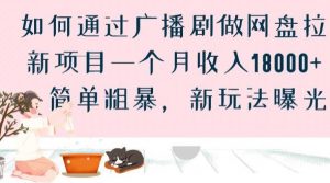 如何通过广播剧做网盘拉新项目一个月收入18000+,简单粗暴,新玩法曝光【揭秘】-第一资源库