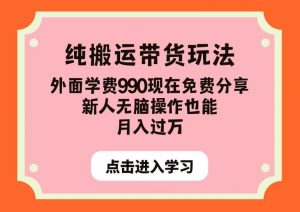纯搬运带货玩法,外面学费990现在免费分享,新人无脑操作也能月入过万【揭秘】-第一资源库