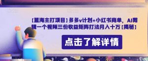 【蓝海主打项目】多多v计划+小红书商单,AI剪辑一个视频三份收益矩阵打法月入十万【揭秘】-第一资源库