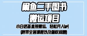 外面卖1980的闲鱼二手图书搬运项目,小白必备直接搬运,轻松月入1w+【揭秘】-第一资源库