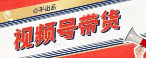 视频号带货好物分享2.0,看完以后可以直接开干了【揭秘】-第一资源库