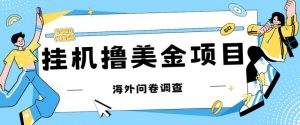 最新挂机撸美金礼品卡项目,可批量操作,单机器200+【入坑思路+详细教程】-第一资源库