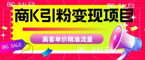 商K引粉变现项目,高客单价精准流量【揭秘】-第一资源库