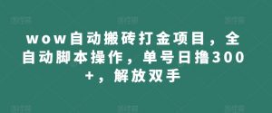 wow自动搬砖打金项目,全自动脚本操作,单号日撸300+,解放双手【揭秘】-第一资源库