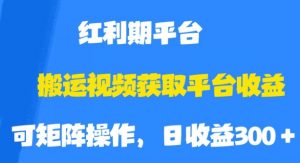 搬运视频获取平台收益,平台红利期,附保姆级教程【揭秘】-第一资源库