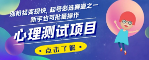 心理测试项目,涨粉猛变现快,起号必选赛道之一,新手也可批量操作【揭秘】-第一资源库