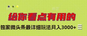 独家微头条最详细玩法,月入3000+【揭秘】-第一资源库