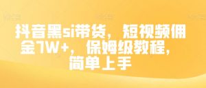 抖音黑si带货,短视频佣金7W+,保姆级教程,简单上手【揭秘】-第一资源库