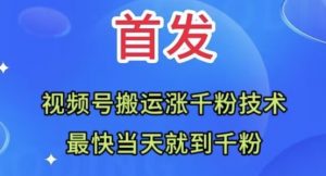 全网首发:视频号无脑搬运涨千粉技术,最快当天到千粉【揭秘】-第一资源库