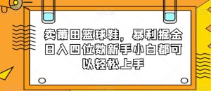 卖莆田篮球鞋,暴利掘金日入四位数新手小白都可以轻松上手【揭秘】-第一资源库