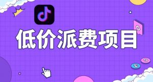 抖音低价派单项目,0门槛,日入1000+很轻松,小白可操作【揭秘】-第一资源库