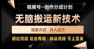 视频号无脑搬运新技术,破原创壕流量,独家方式,爆过视频,还会再爆【揭秘】-第一资源库