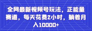 全网最新视频号玩法,正能量赛道,每天花费2小时,躺着月入10000+【揭秘】-第一资源库