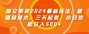 图文带货2024最新玩法,破播放技术,三天起号,小白也能日入500+【揭秘】-第一资源库
