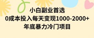 小白副业首选,0成本投入,每天变现1000-2000年底暴力冷门项目【揭秘】-第一资源库