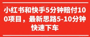小红书和快手5分钟赔付100项目,最新思路5-10分钟快速下车【仅揭秘】-第一资源库