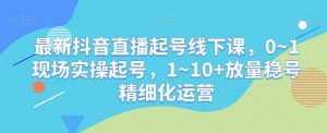 最新抖音直播起号线下课,0~1现场实操起号,1~10+放量稳号精细化运营-第一资源库