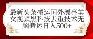 最新头条搬运国外漂亮美女视频黑科技去重技术无脑搬运日入500+【揭秘】-第一资源库