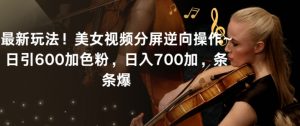 最新玩法!美女视频分屏逆向操作~日引600加色粉,日入700加,条条爆【揭秘】-第一资源库